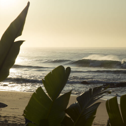 Surfers walking on the beach, Ballito - Short-term Rentals on the North Coast of KwaZulu-Natal.