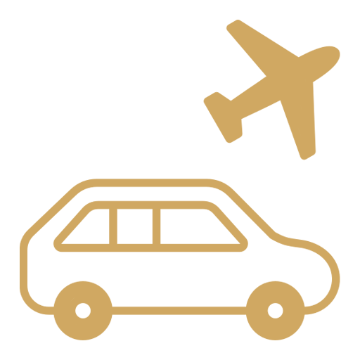 Airport Icon